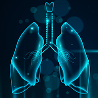 <a href='https://it.freepik.com/vettori/sfondo'>Sfondo vettore creata da macrovector - it.freepik.com</a>